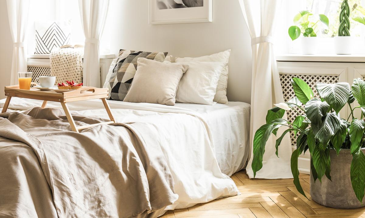 How healthy is your home? Why indoor air quality is important