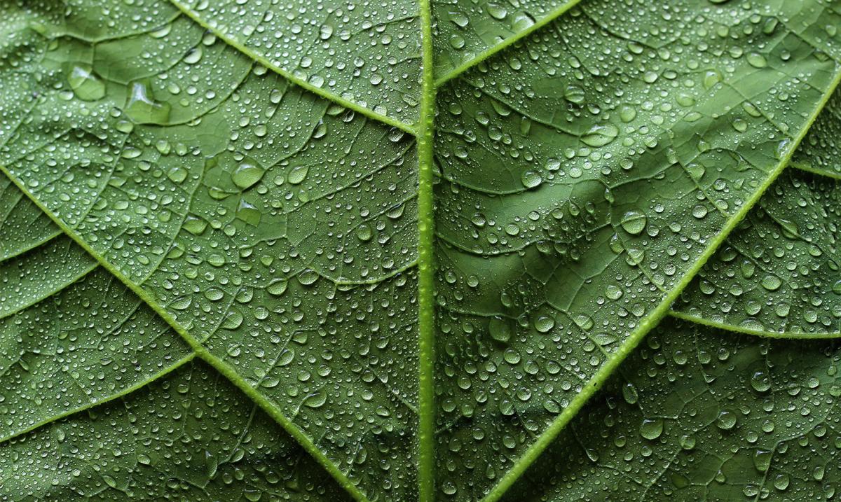 13 reasons why ENJO is the greenest way to clean