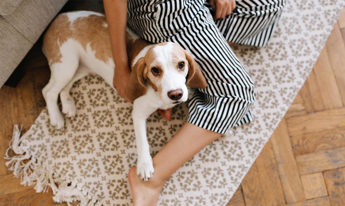 Why your floors might not be as clean as you think they are