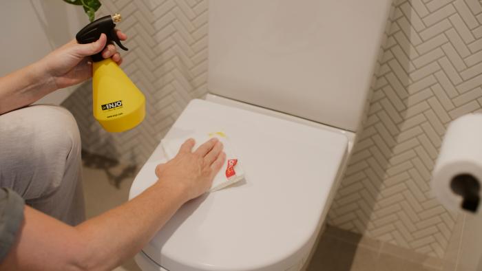 How to clean your toilet