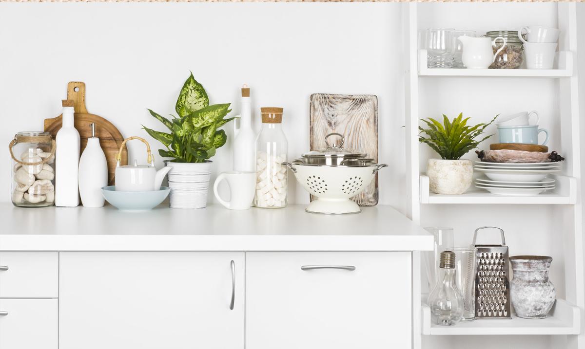 Want a clean kitchen until 2025? Then you need to buy this
