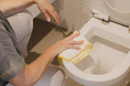 Toilet Miracle