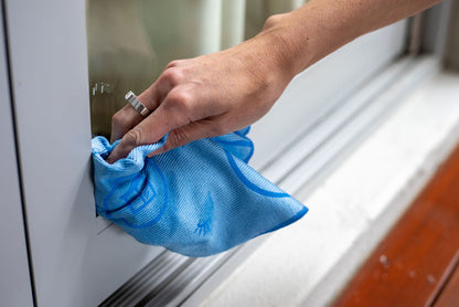 Window/Living Miracle